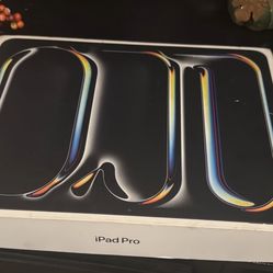 Apple iPad Pro 13" (M4) 2024 (Mint)