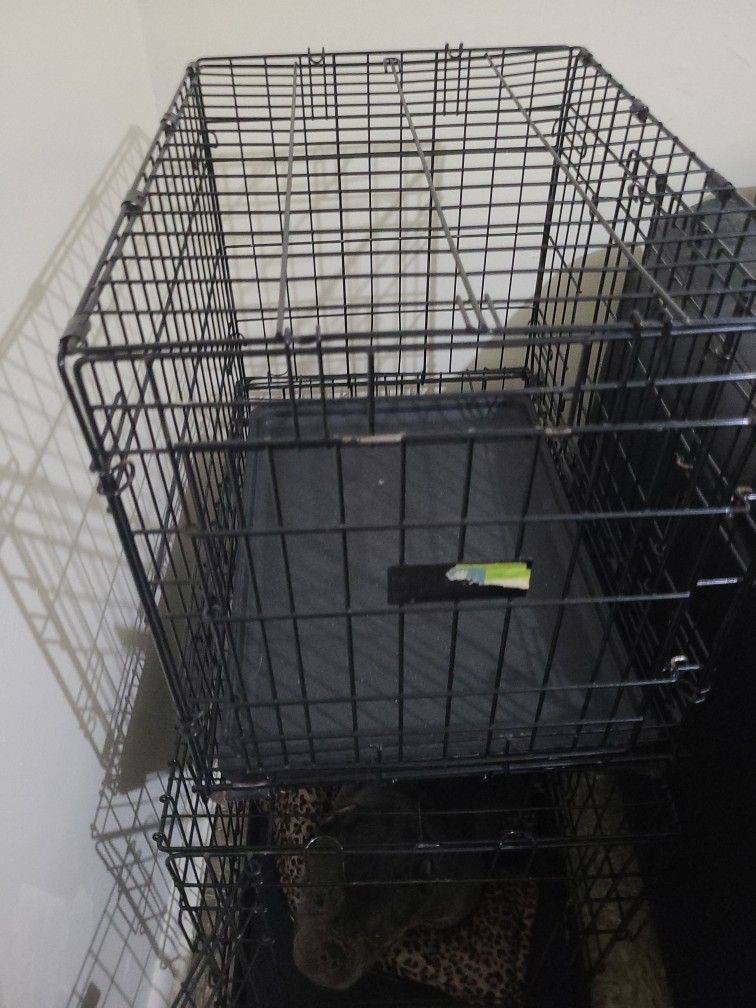 Dog Cage