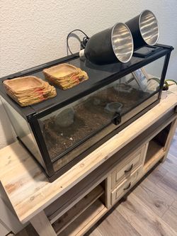 Reptile habitat