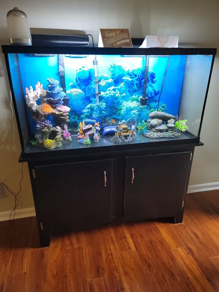 55 gal. Aquarium with stand, decorations, 2 filters and more.