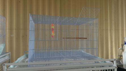 Bird Cage Carrier