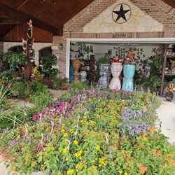 EIGHT NEW SHIPMENT ARRIVE APRIL 30th 2026 Beautiful and Healthy HANGING BASKETS PLANTS.