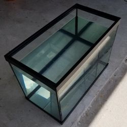 20-Gallon Fish Tank 