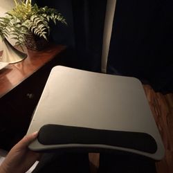Laptop Computer Lap Tray With Cushion Back