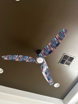 Colorful fan