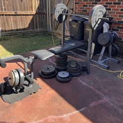 Weight Bench And Weights 