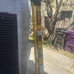 Dewalt Ladder 