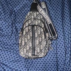 Dior Bag