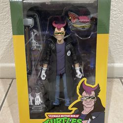 Teenage Mutant Ninja Turtles Tmnt Neca Cartoon Line 