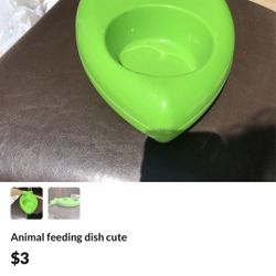 Cute food dish for cats