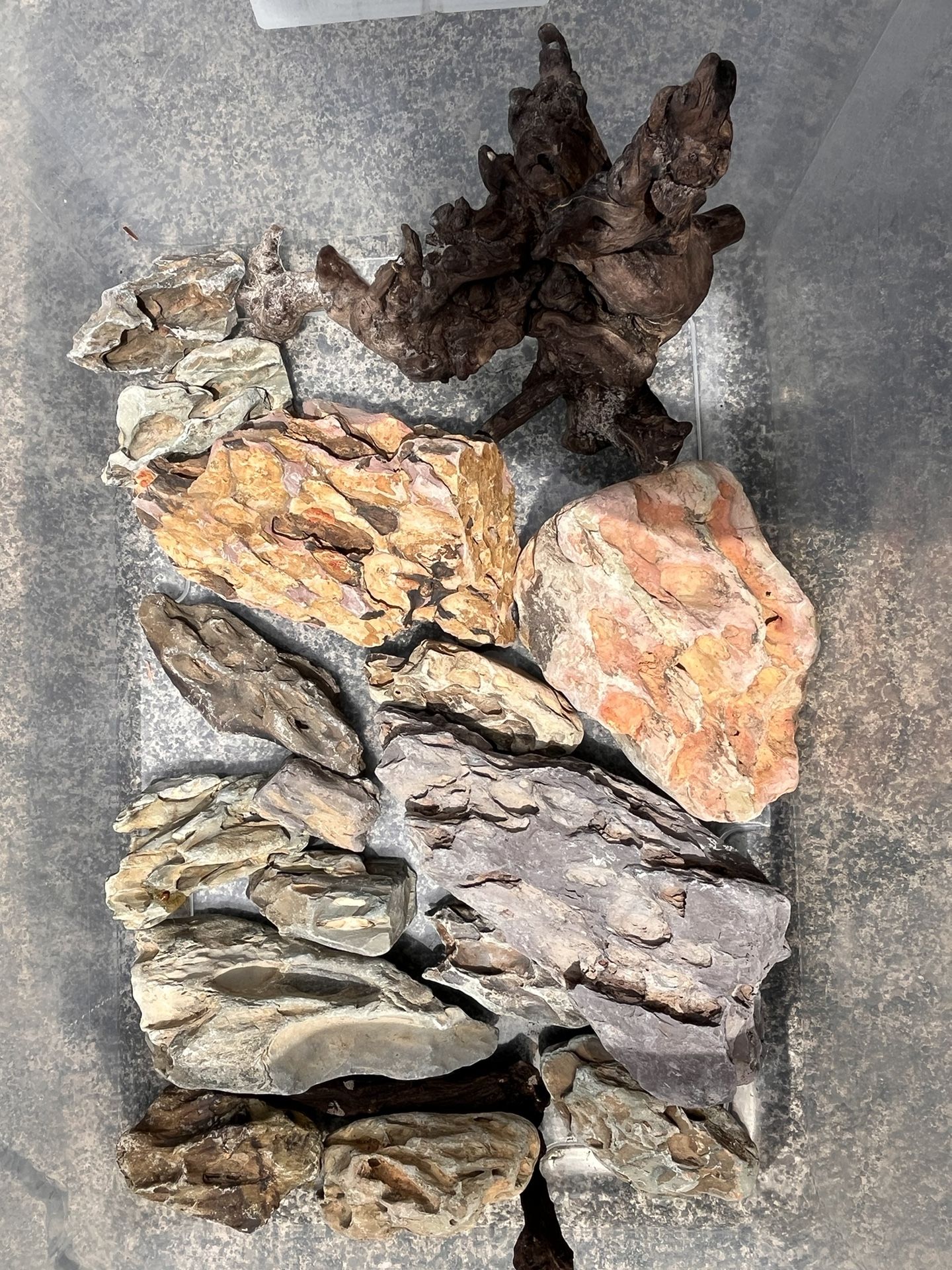 Dragon Stone And Aquascaping