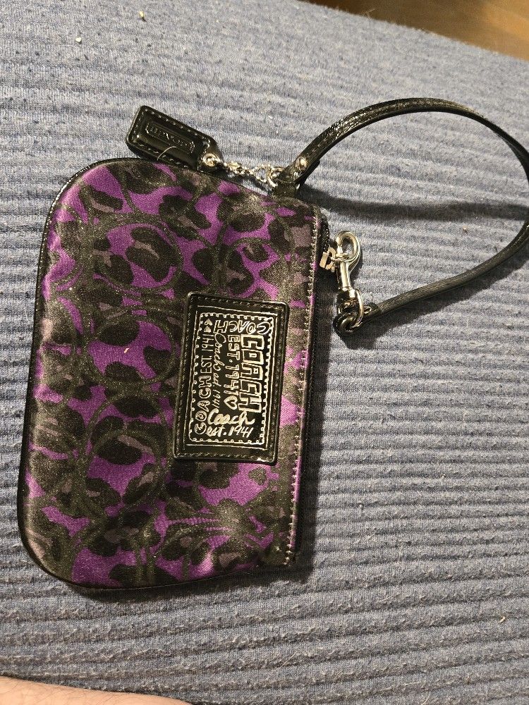 Woman's Purple Hand Clutch Bag