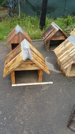 Dog houses