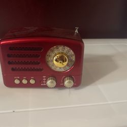 Radio Speaker 