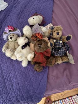 Small Boyd’s bears