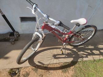 Trek bike
