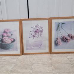 3 Beautiful 17 By 21 Inch Framed Flower Pics. (MUST SELL TODAY)