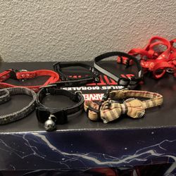 6 cat collars and leash