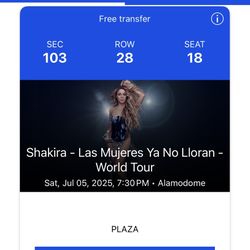Shakira concert 