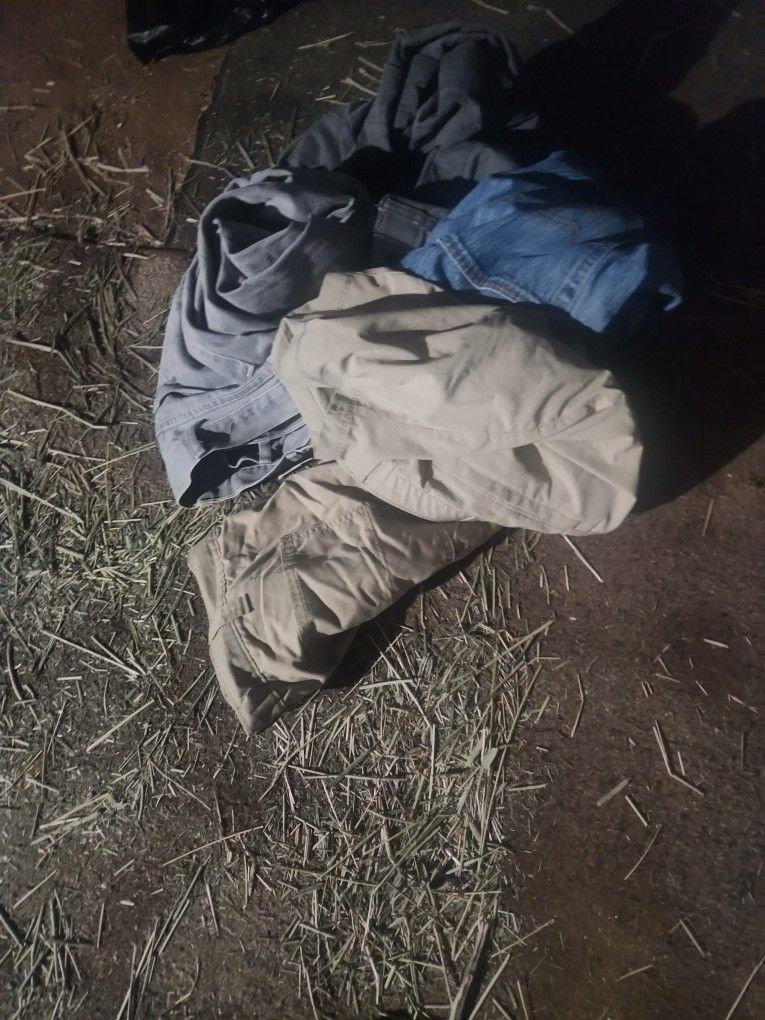 Men's pants and shorts size forties