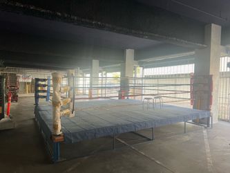 Everlast Boxing Ring