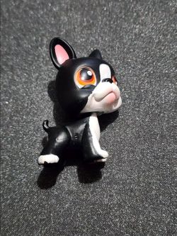 Lps # 63 boston terrier dog