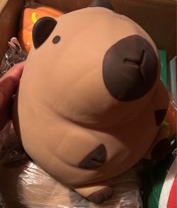 Capybara squishy