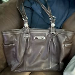 Coach pocketbook