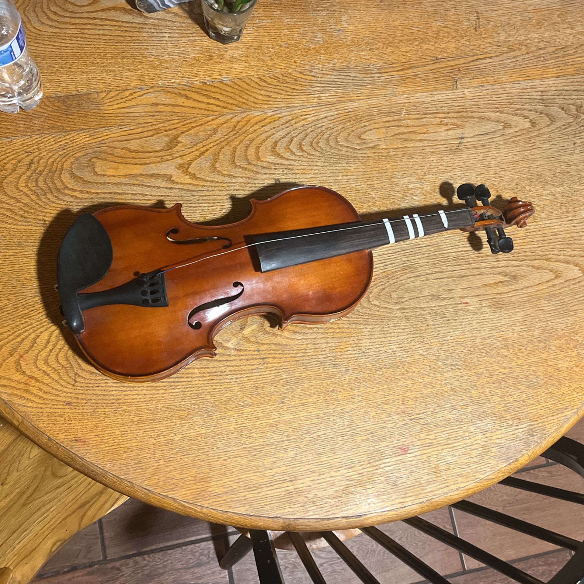 Violin 🎻 