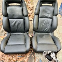 Bucket Seats 