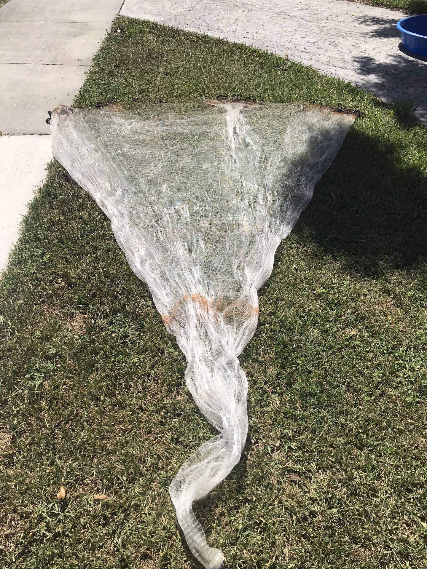 12’ 1/2” calusa cast net