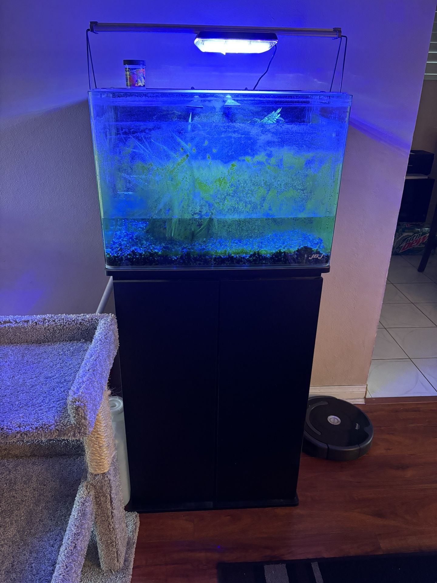 JBJ fish tank