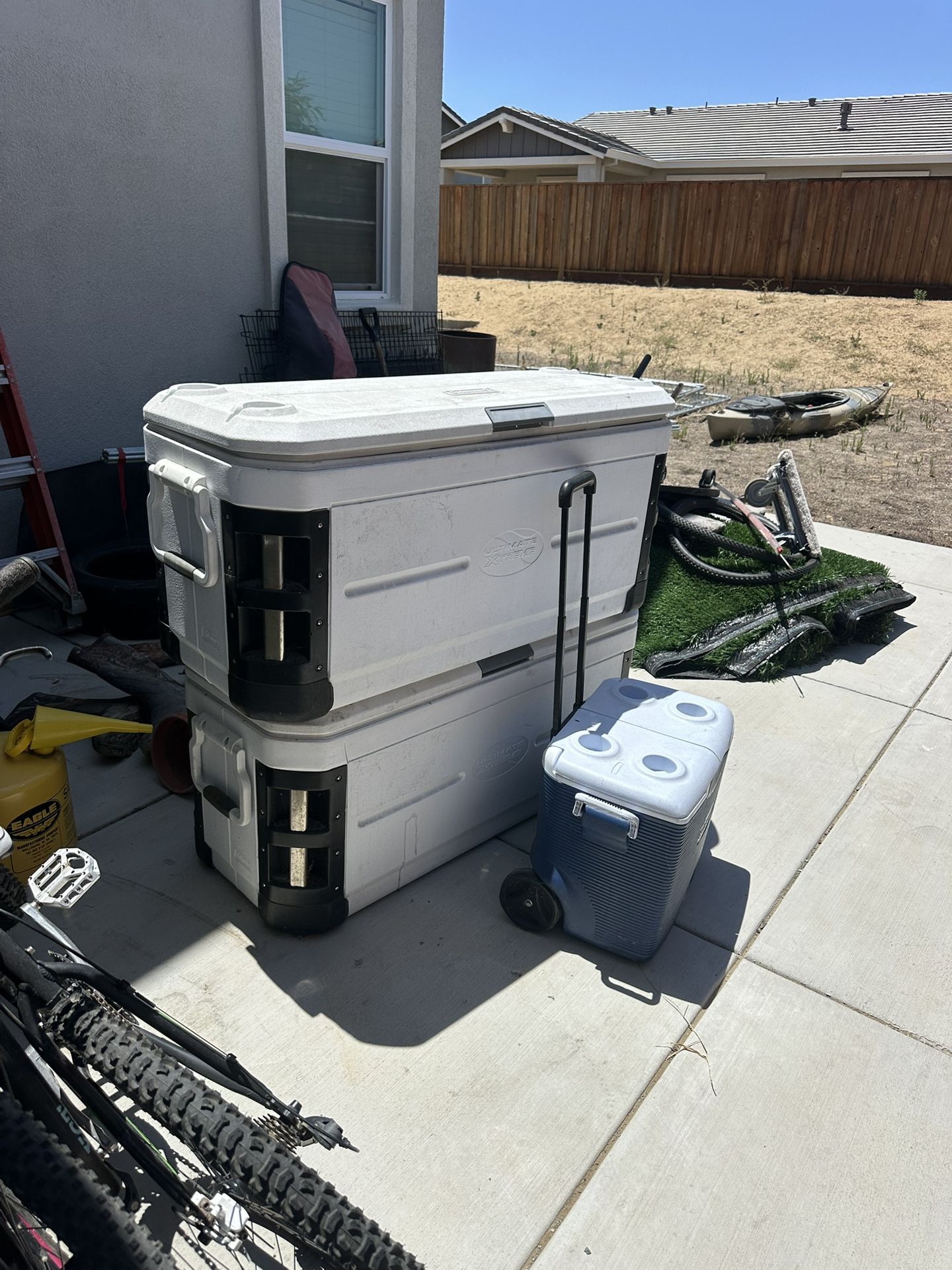 Cole Men Cooler