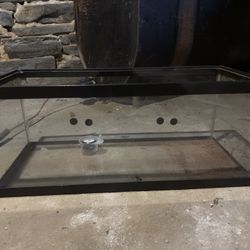 40 Gallon Tank