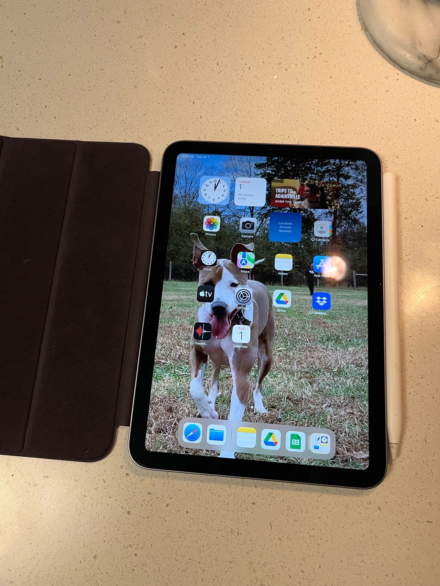 iPad mini (64GB) 6th generation with apple folio and apple pencil 2nd generation