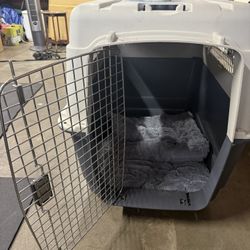 Airline travel Dog Crate XXL