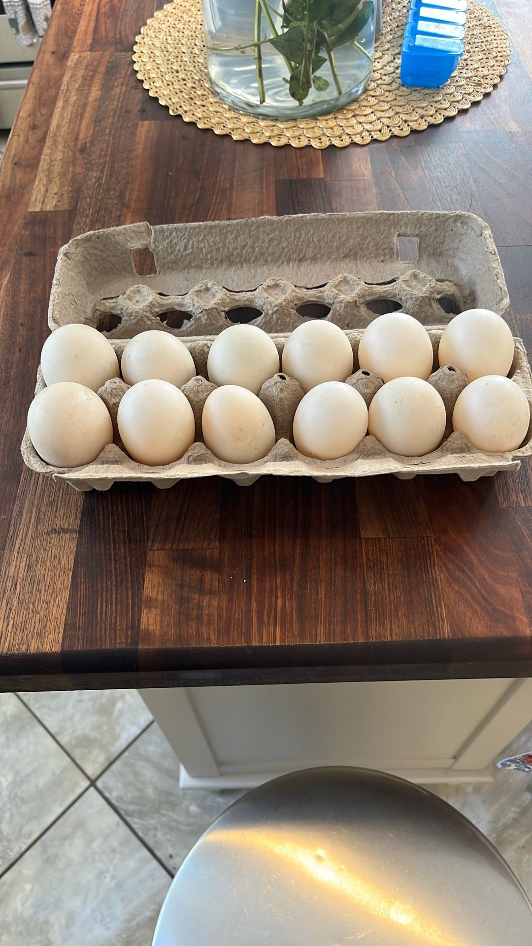 Duck Eggs