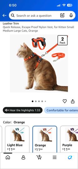 Orange Cat Harness