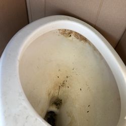 Dirty Toilet Bowl… No Reservoir. Just The Bowl
