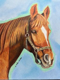 Custom Equine Art 
