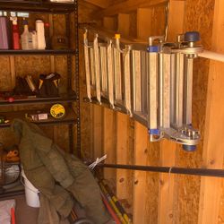 Werner Ladder 