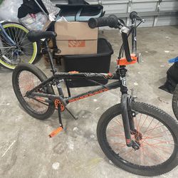 Mongoose 20 Inch Bike 