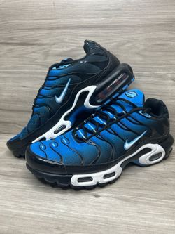 Nike Air Max Plus Aquarius Blue DM0032-402 Size 10.5 (PO1026207)