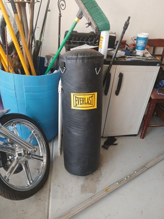 Brand New Punching Bag 100