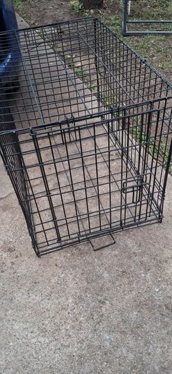Animal Container