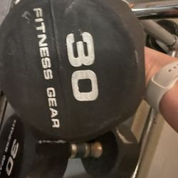 30lb Dumbbells (both)