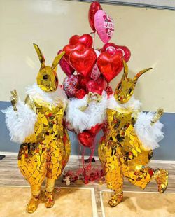 TWO MIRROR BUNNY COSTUMES