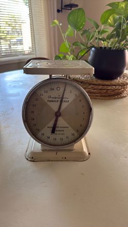 Vintage American Family Scale
