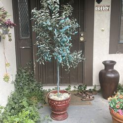Artificial olive tree