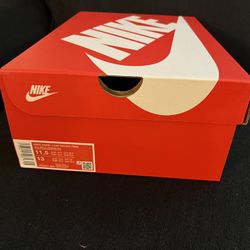 Nike Dunk Low Retro Premium Philly Sz 11.5